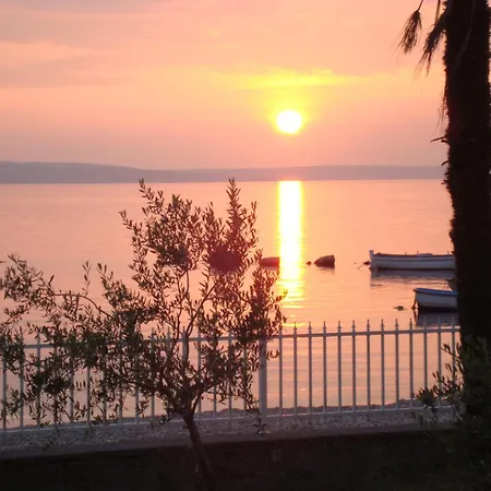 Punta 4* Šibuljina